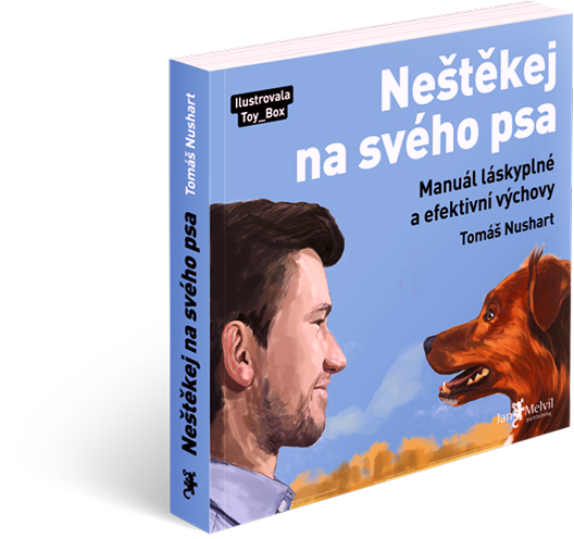 Kniha