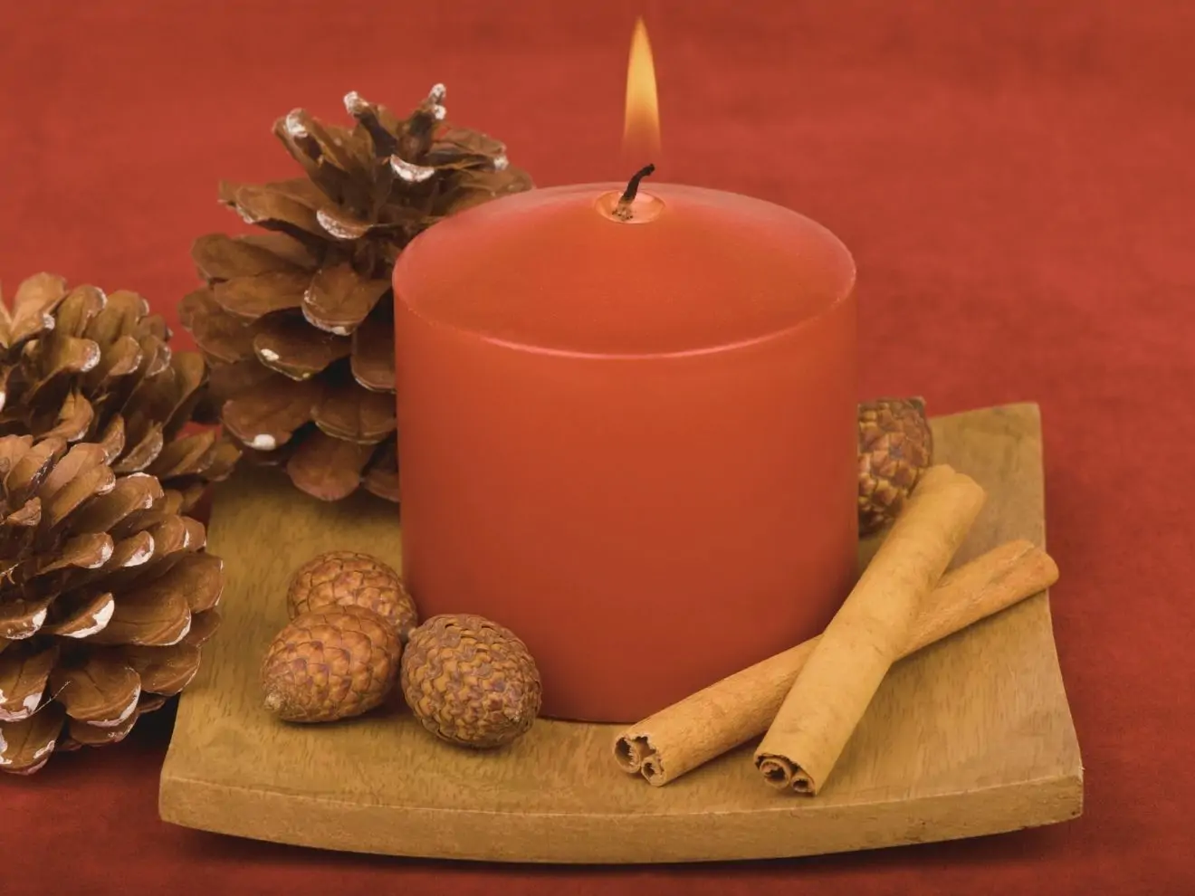 Můžou vánoční vůně ublížit domácím mazlíčkům?