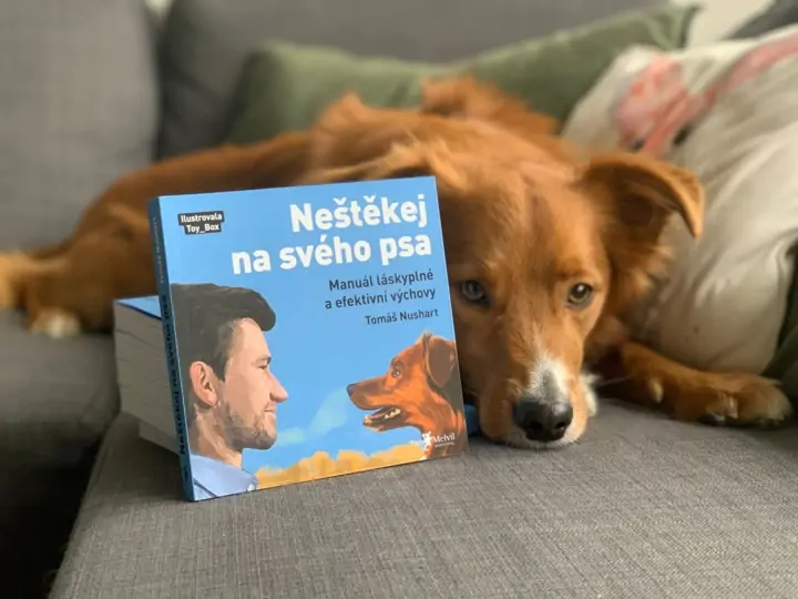 Neštěkej na svého psa