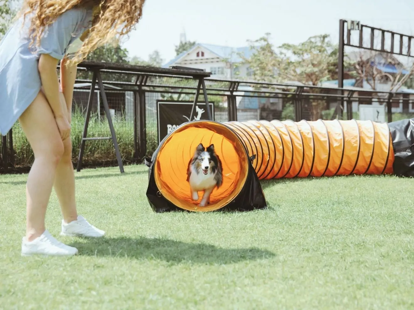 Co je zapotřebí, aby vznikla souhra?