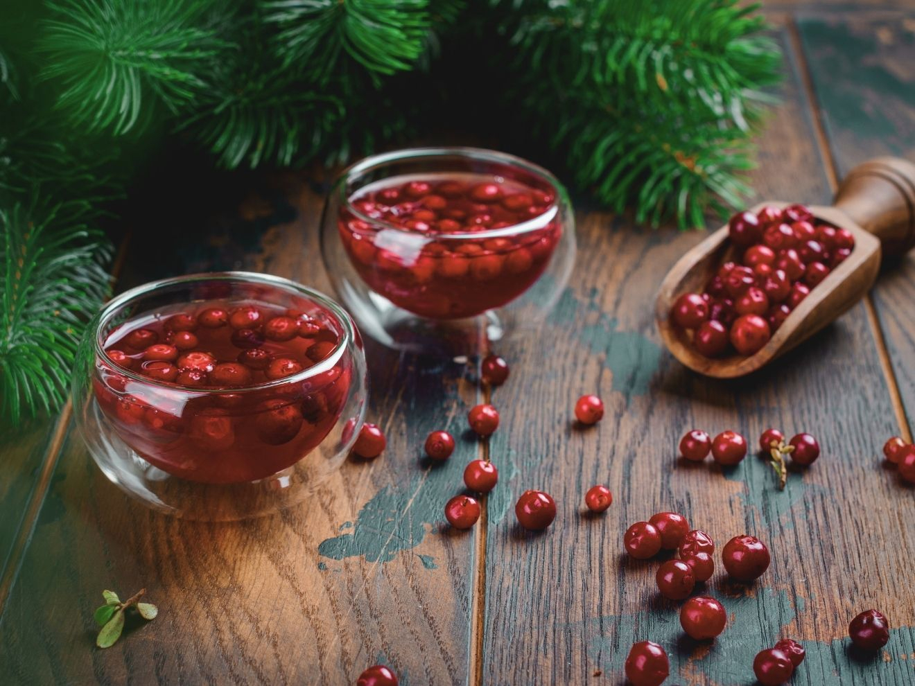 Chraňte ledviny vašeho psa