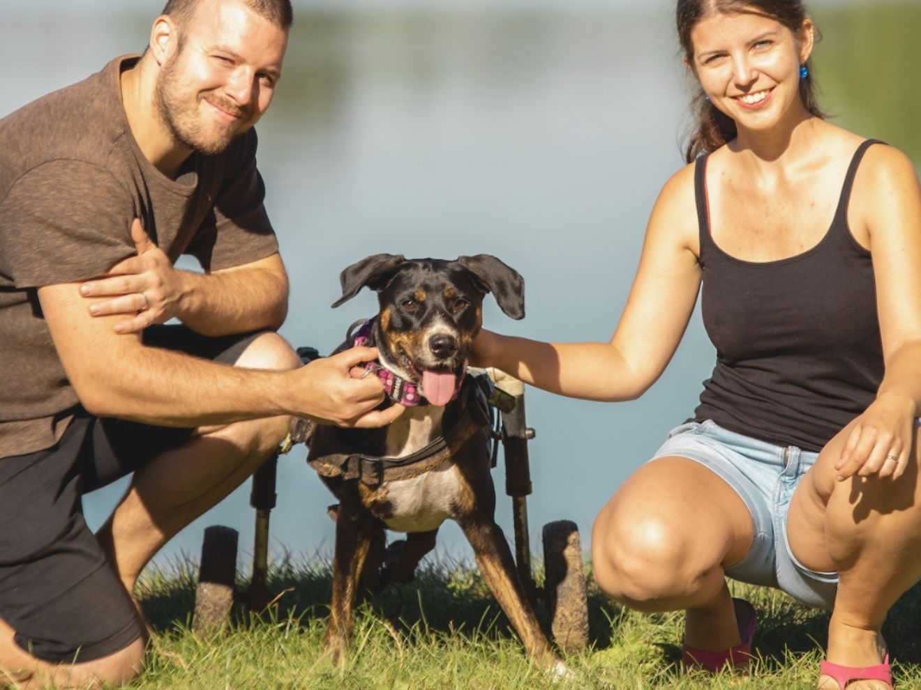 Kristýna a Cookie: Psí vozíčkář rozdávající radost