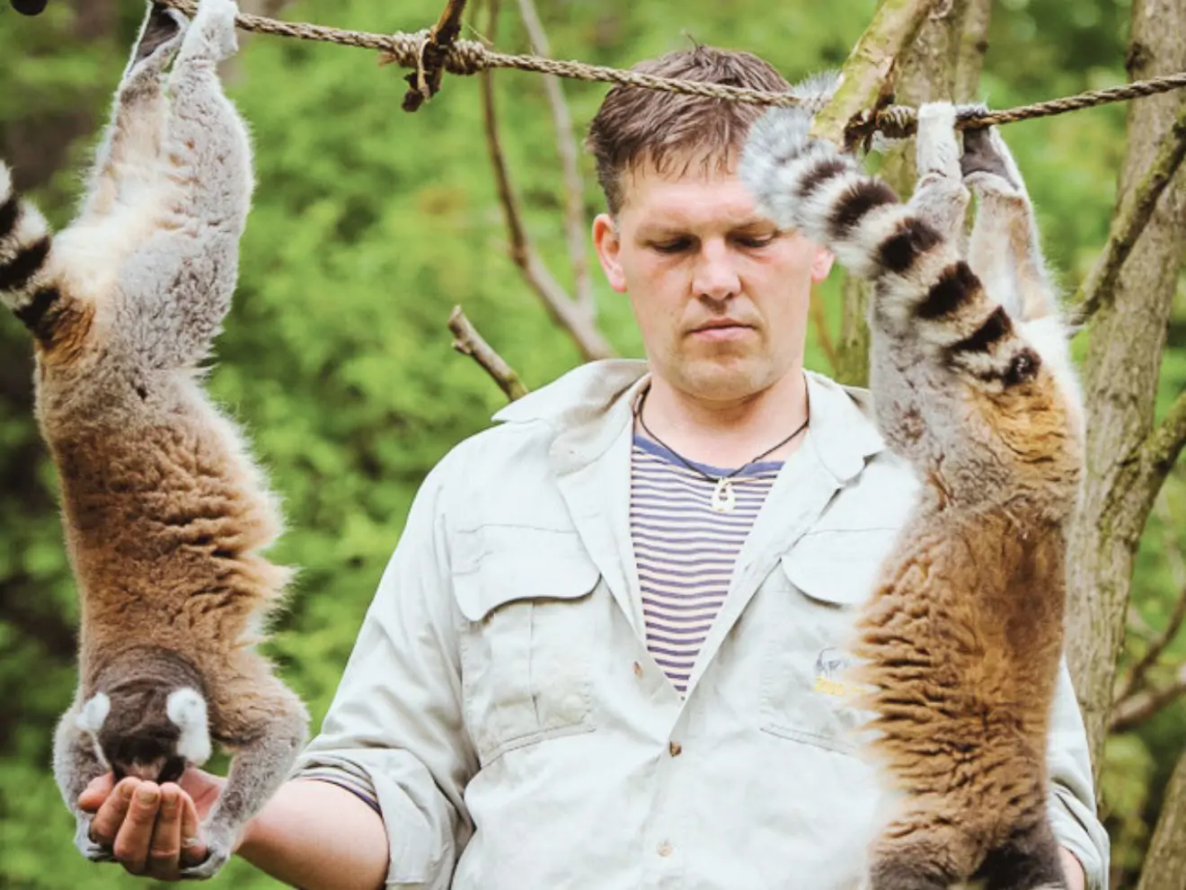 Co mě naučila práce s primáty pro trénink psů?