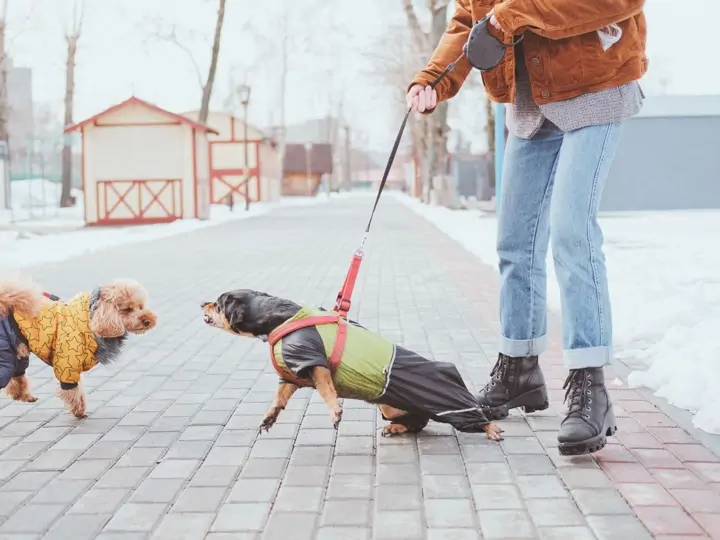 Mark and move - trik pro reaktivce