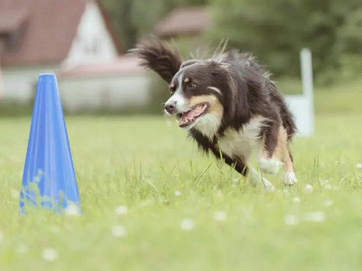 Cvik “okolo” a “kolem”