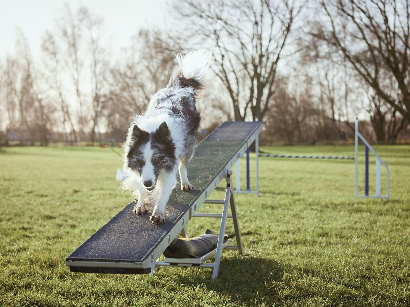 Zónové překážky – jak s nimi začít