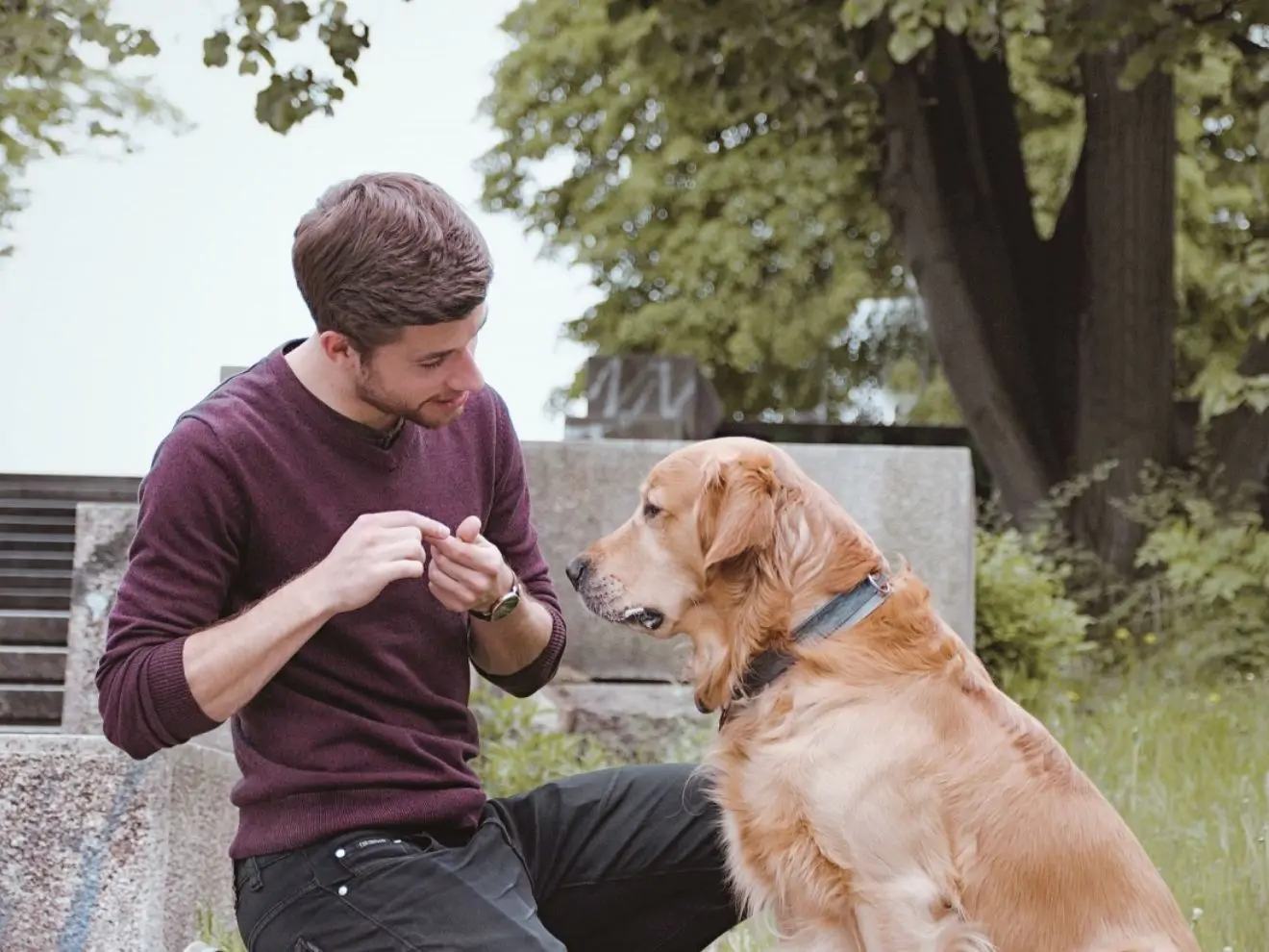 Platí pozitivka na každého psa?