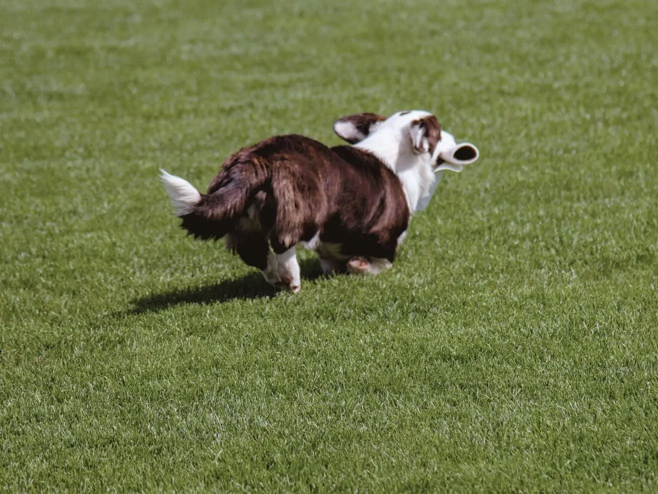 Jak zlepšit přivolání (10): 11 nejčastějších chyb