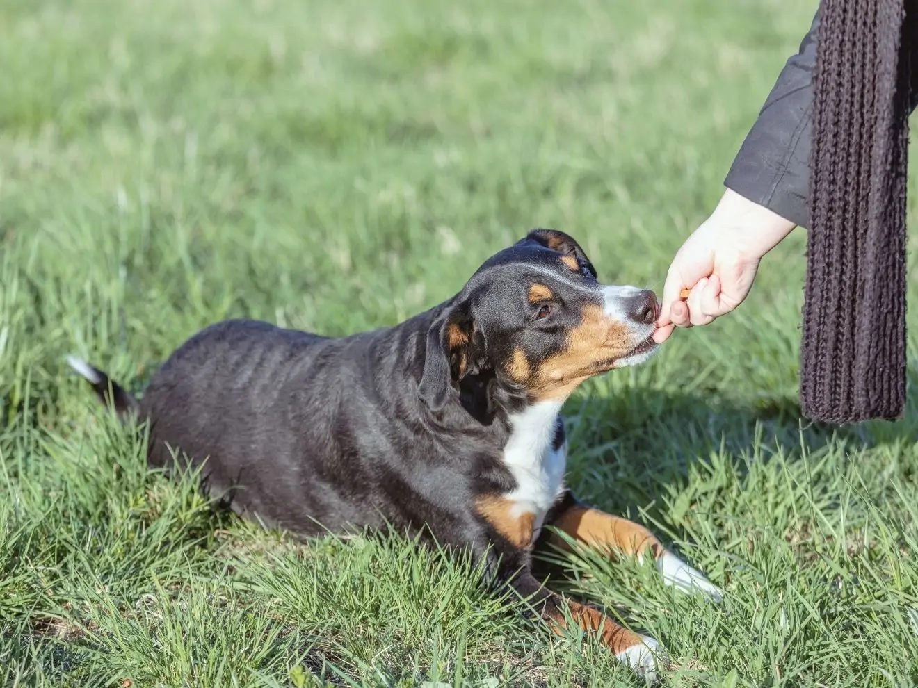 O tréninkových výčitkách