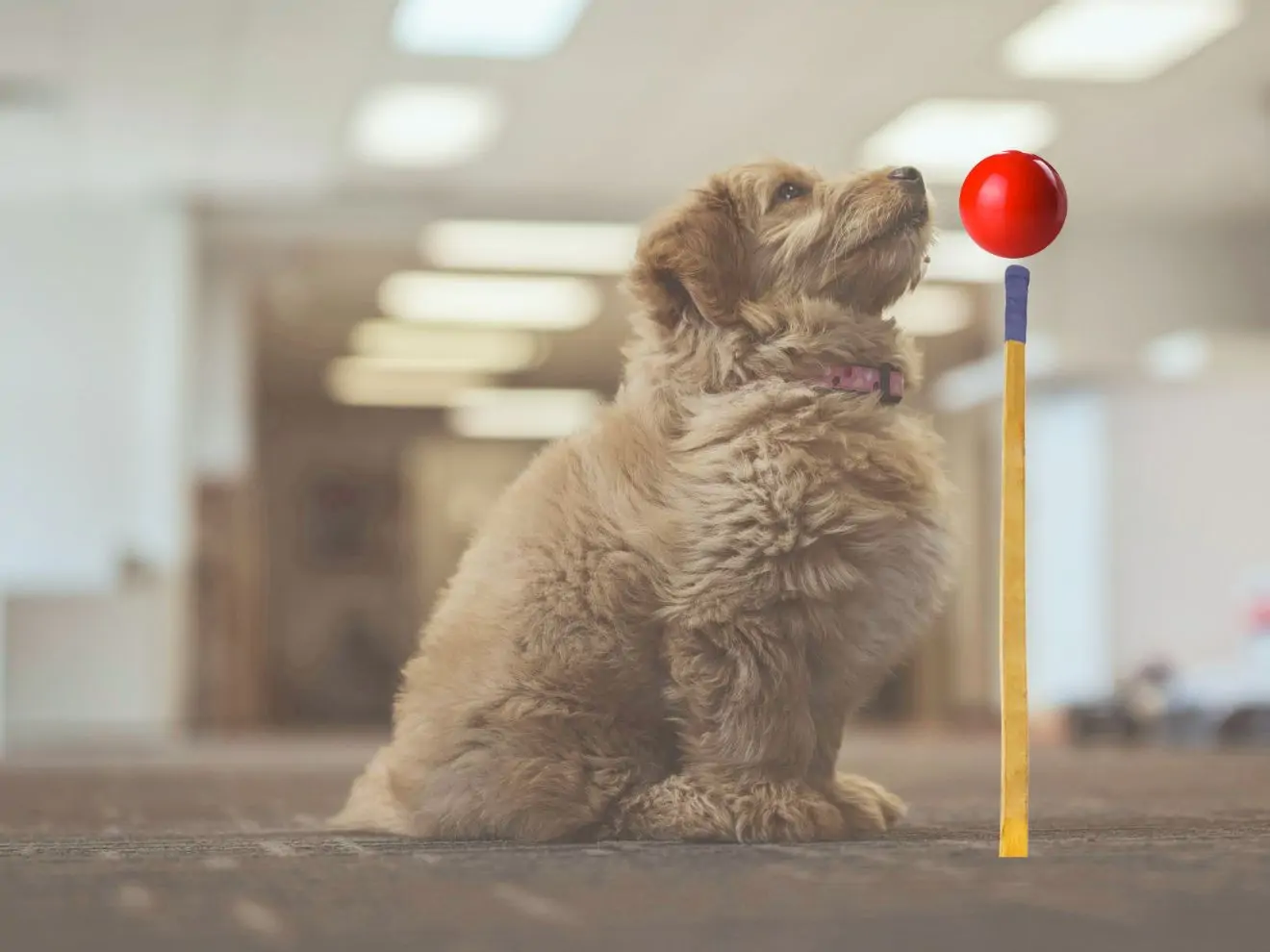 Stacionární target stick – co to je a k čemu se hodí?