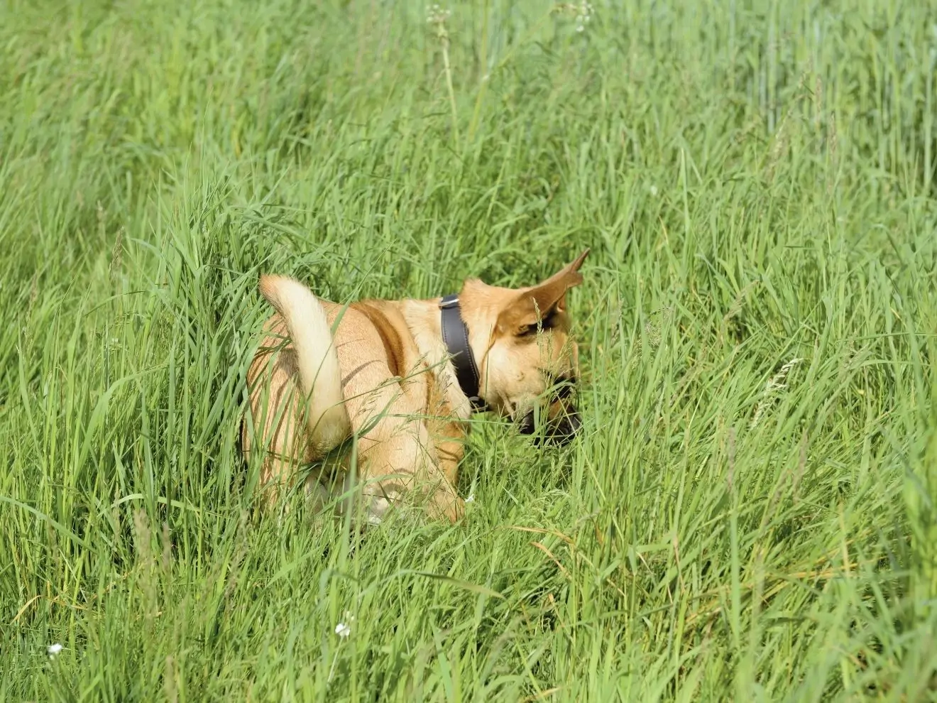 Jak zlepšit přivolání (2) – Kdy volat