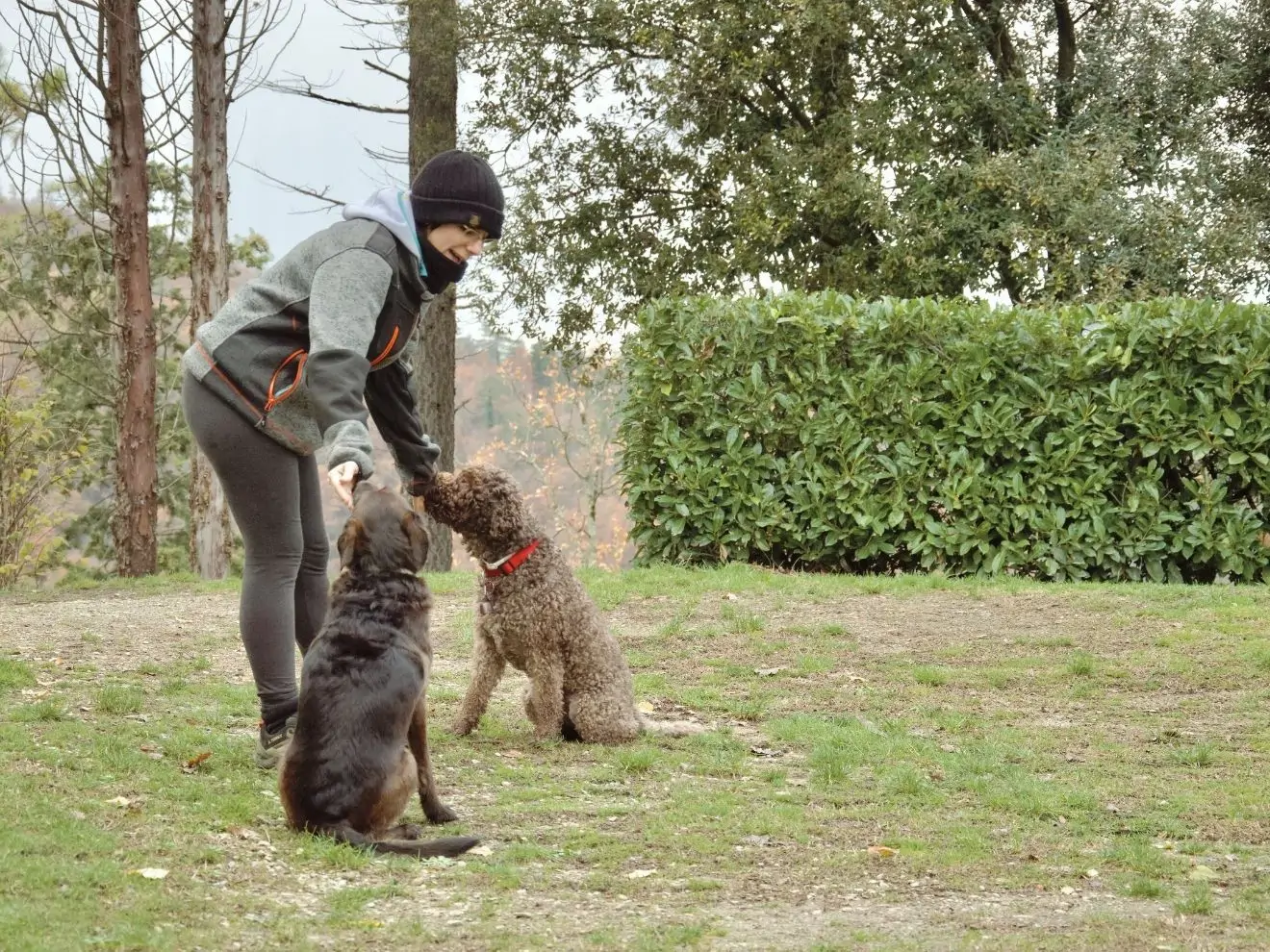 Jak správně socializovat psa