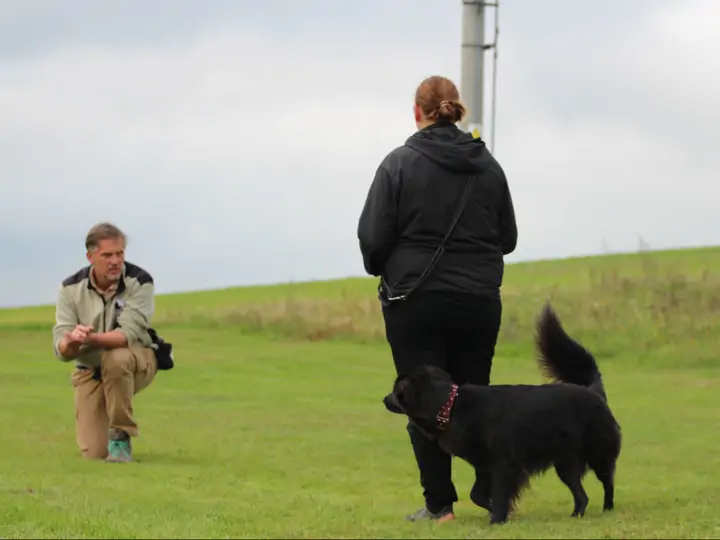 Jak pracovat se strachem u psů