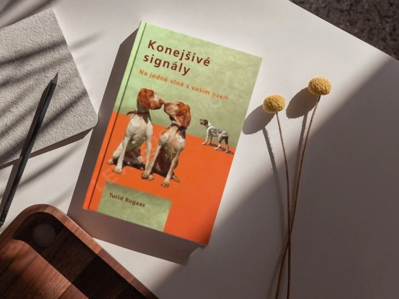 Konejšivé signály - kniha o tom, jak číst psí chování