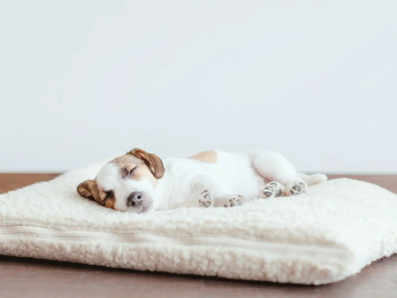 Uklidňující “calming” marker a jeho síla