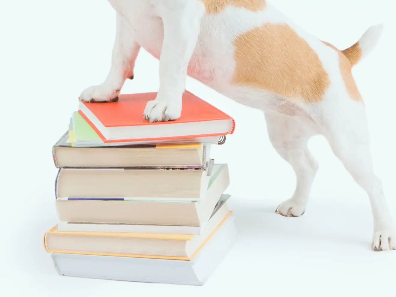 Stacionární target – rozlišování stran