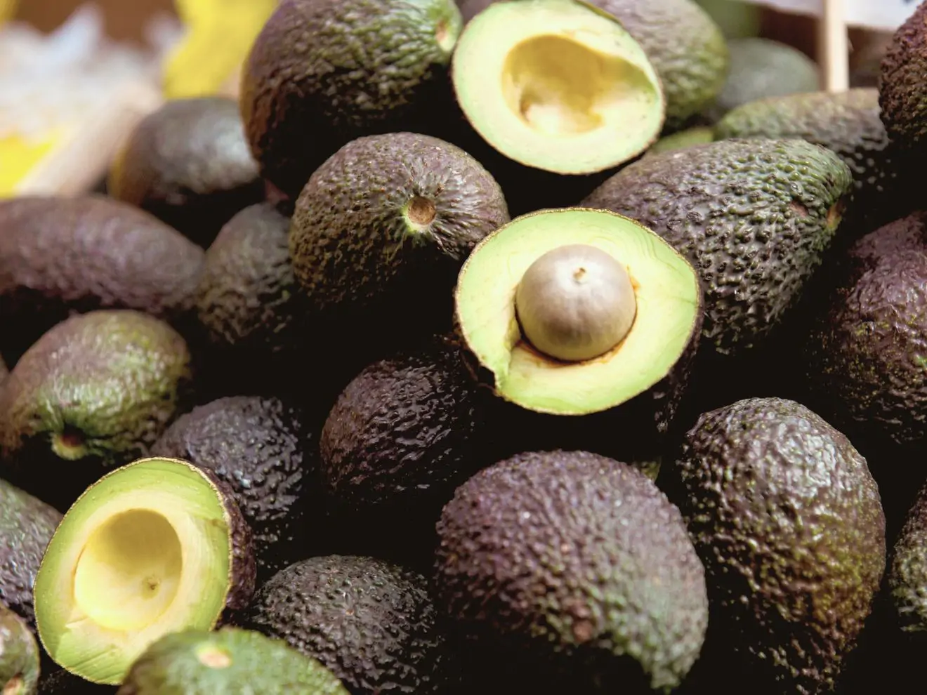 Které ovoce pes může a které nesmí – exotická edice