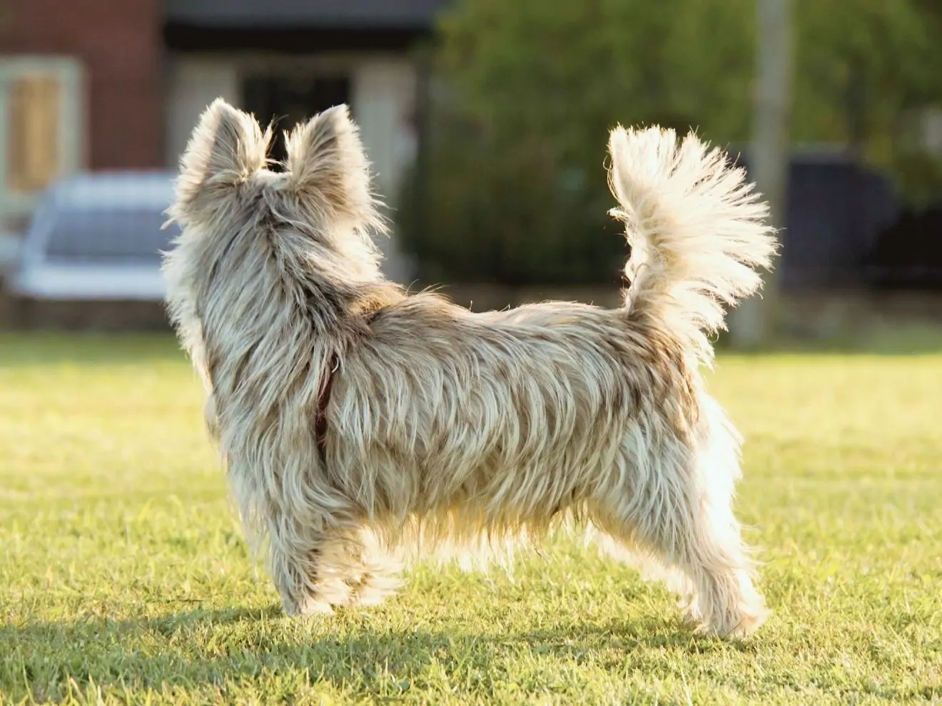 Hra Podívej se na / Look at that