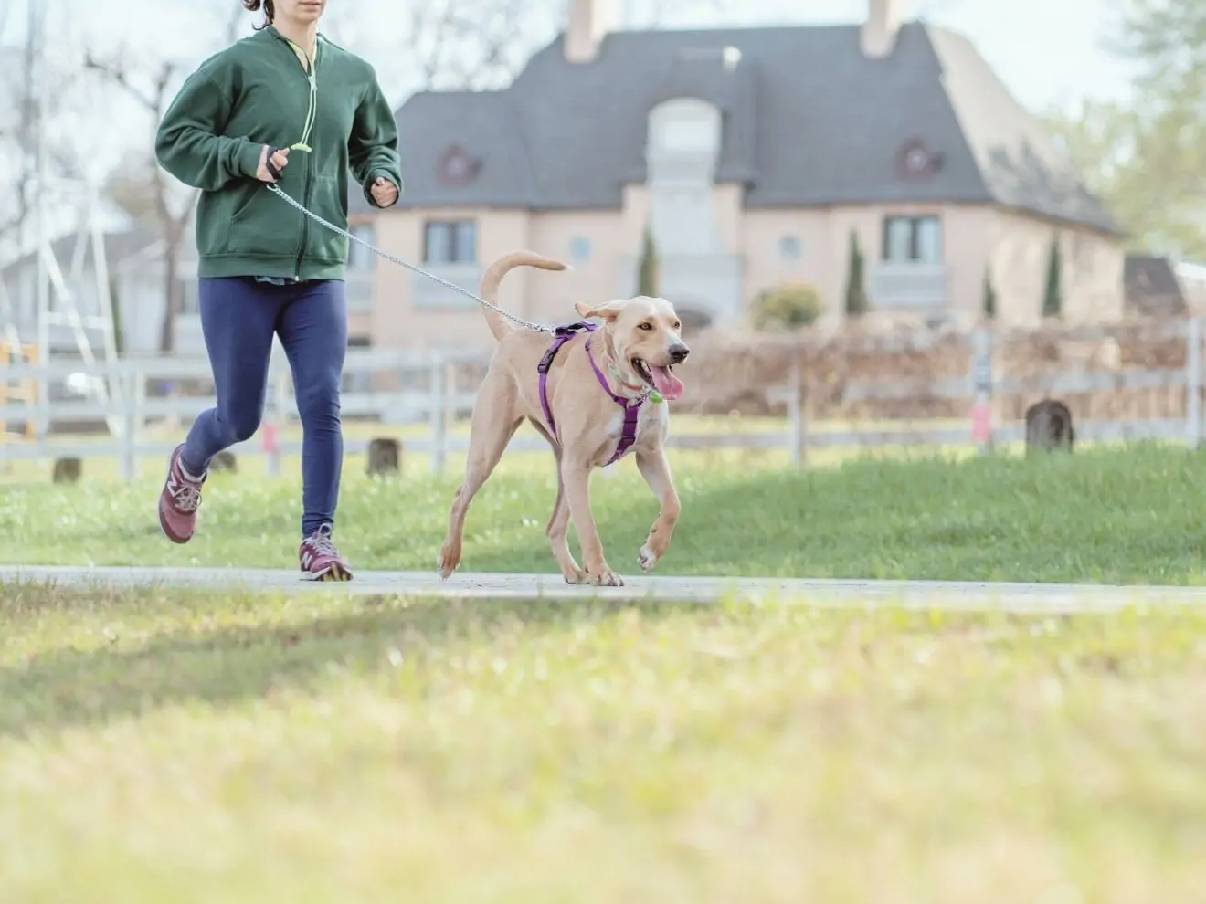 Proběhněte tím – jak zvládnout krizové situace