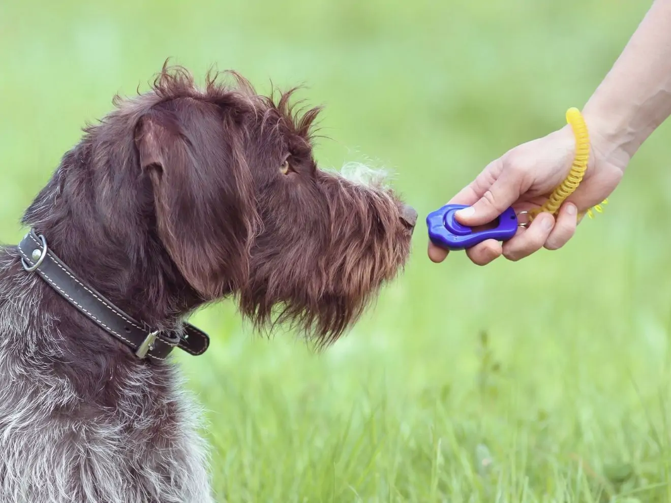 Marker a proč ho právě u reaktivců potřebujeme