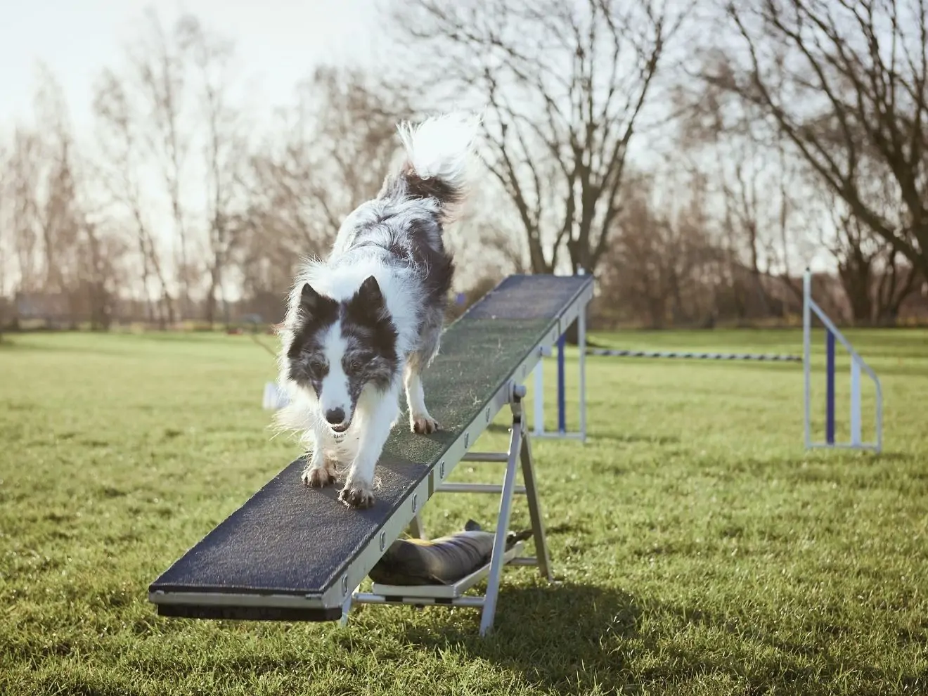 Zónové překážky – jak s nimi začít