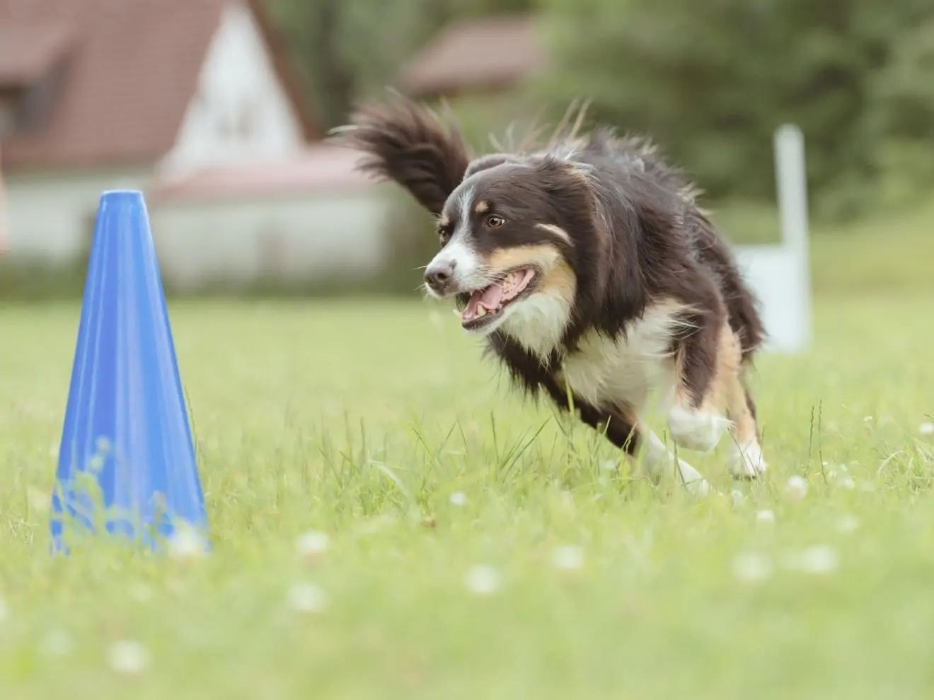Cvik “okolo” a “kolem”