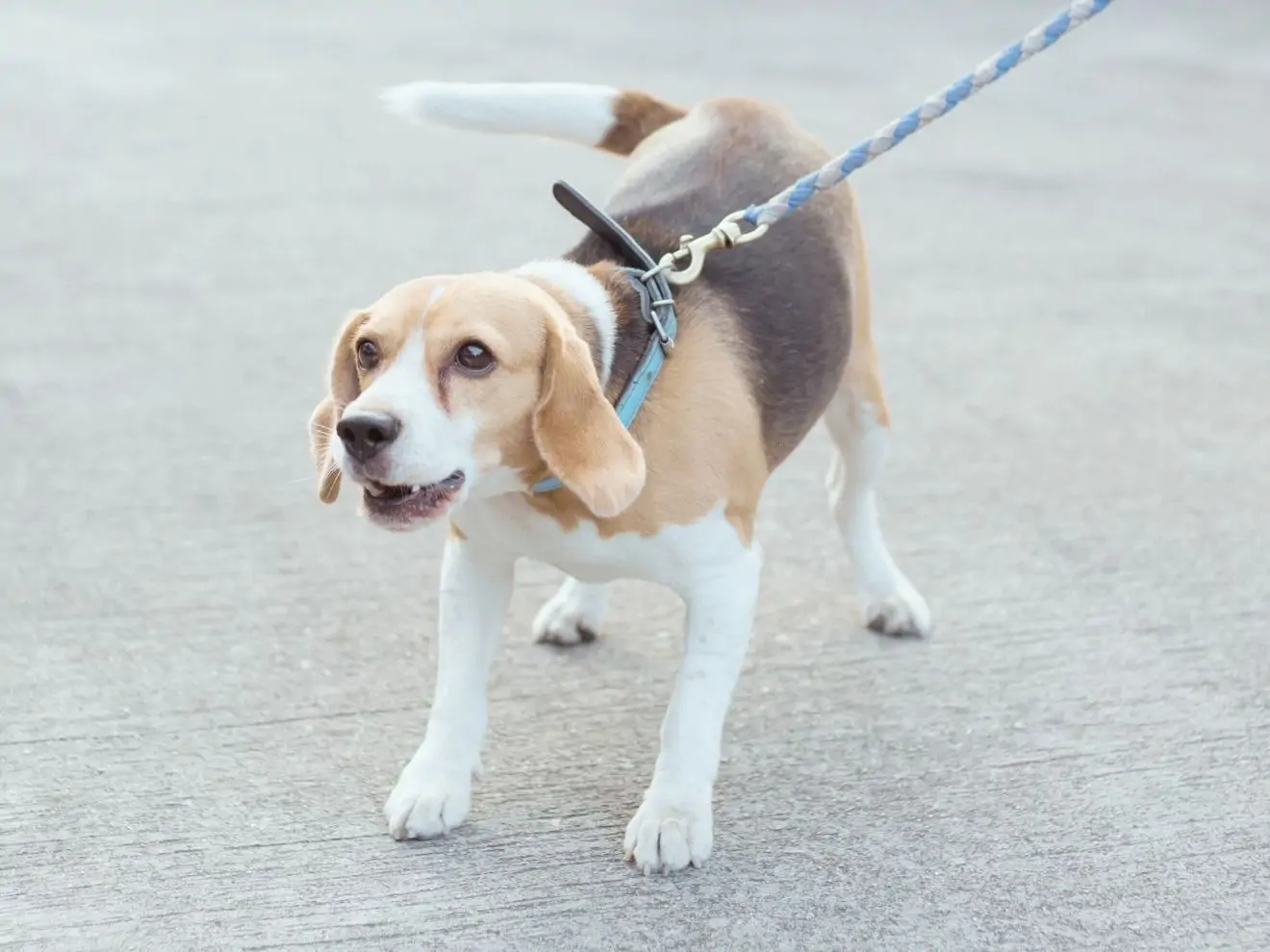 Problémové situace jako skvělá příležitost k tréninku