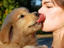 Proč pes olizuje člověka? Projev lásky, nebo něco jiného?