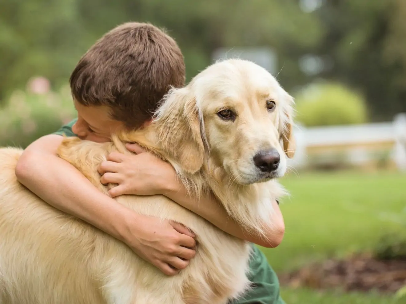 Pes – přítel člověka, především dítěte?