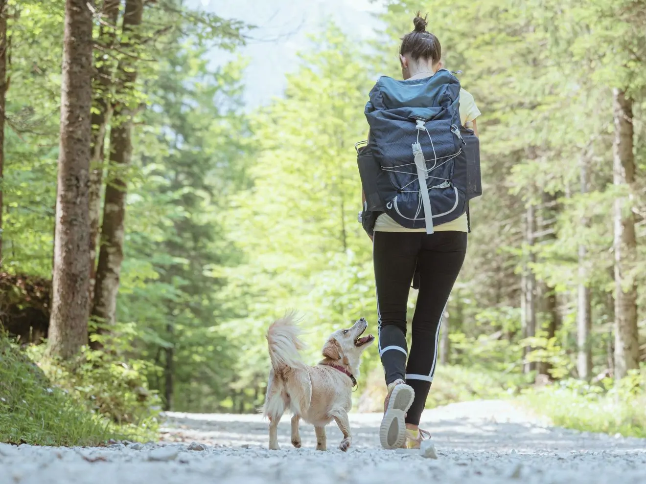 Je NEGATIVNÍ POSÍLENÍ opravdu jen špatné?