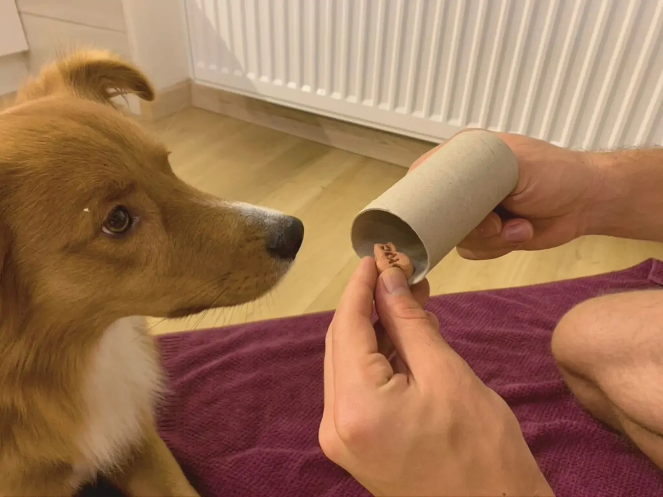 3 hry na doma, když je venku hnusně