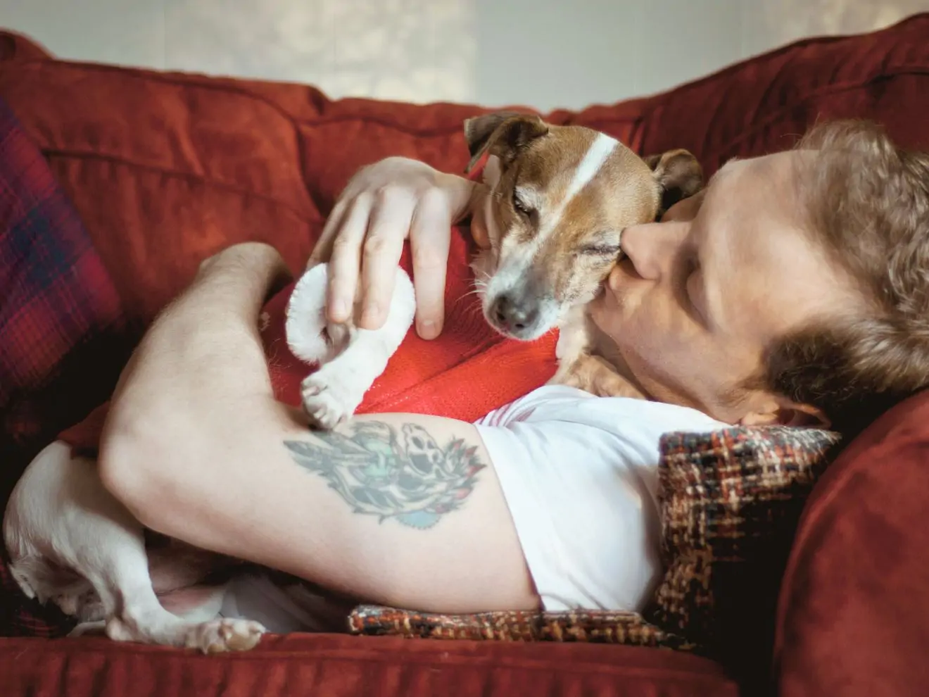 Pes jako „měrka našeho stavu“