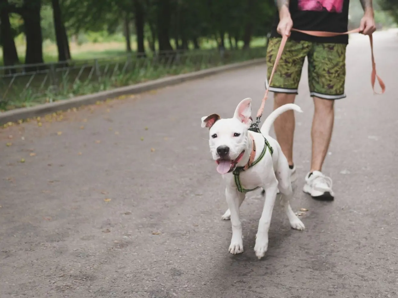 Buďte termostat, ne teploměr