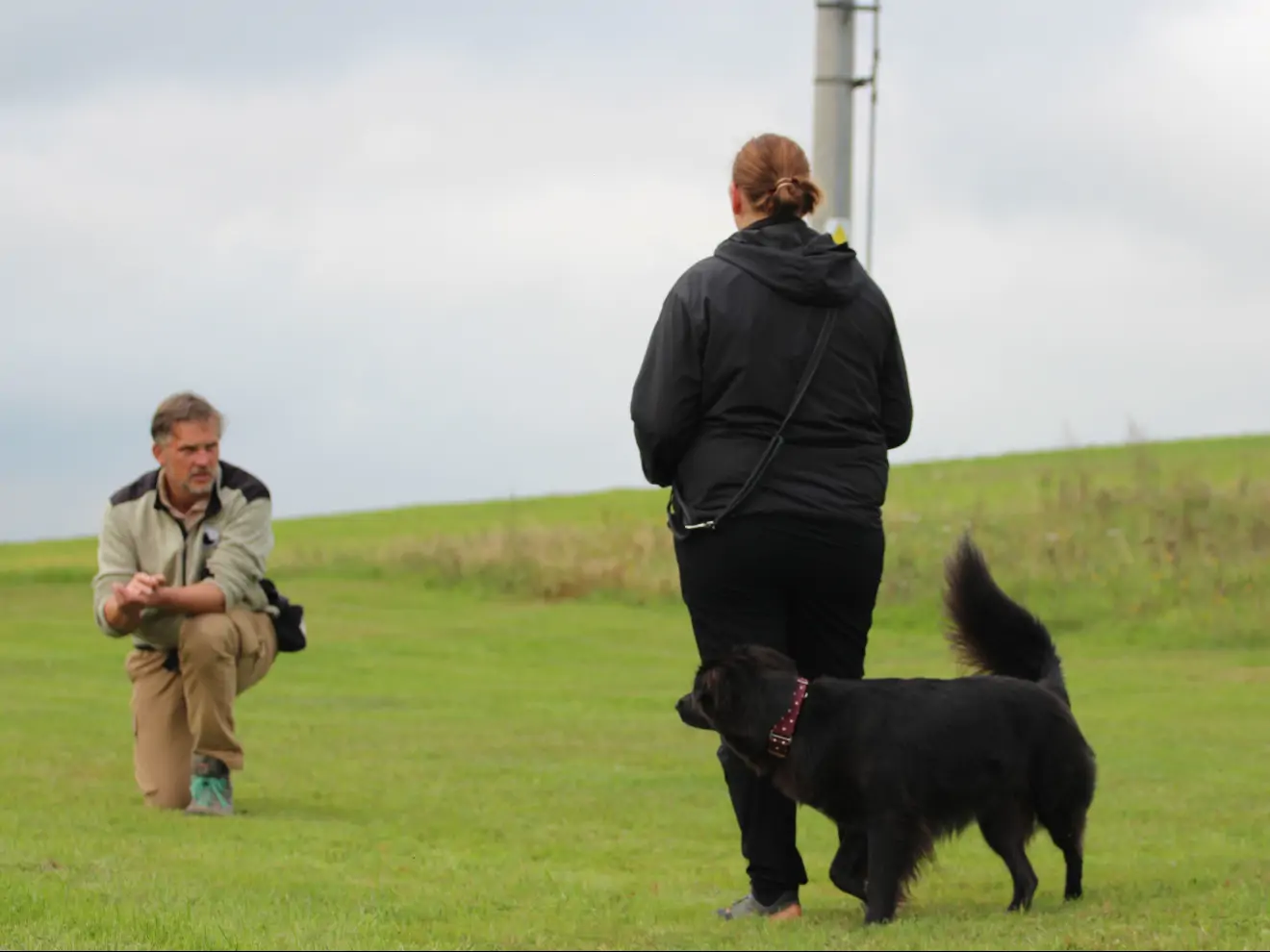 Jak pracovat se strachem u psů