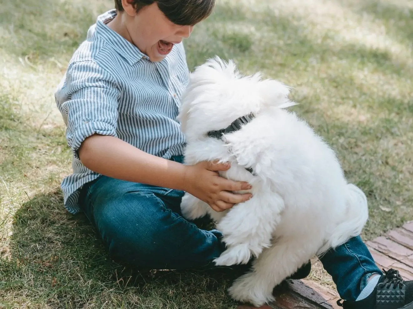 4 + 1 tip na co si dát pozor, když máte psa a dítě