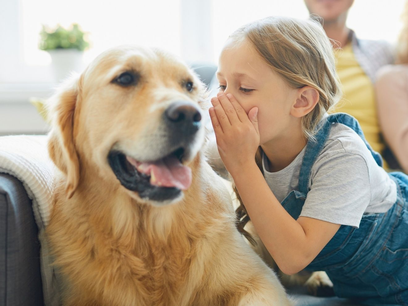 Jak komunikovat se psem?