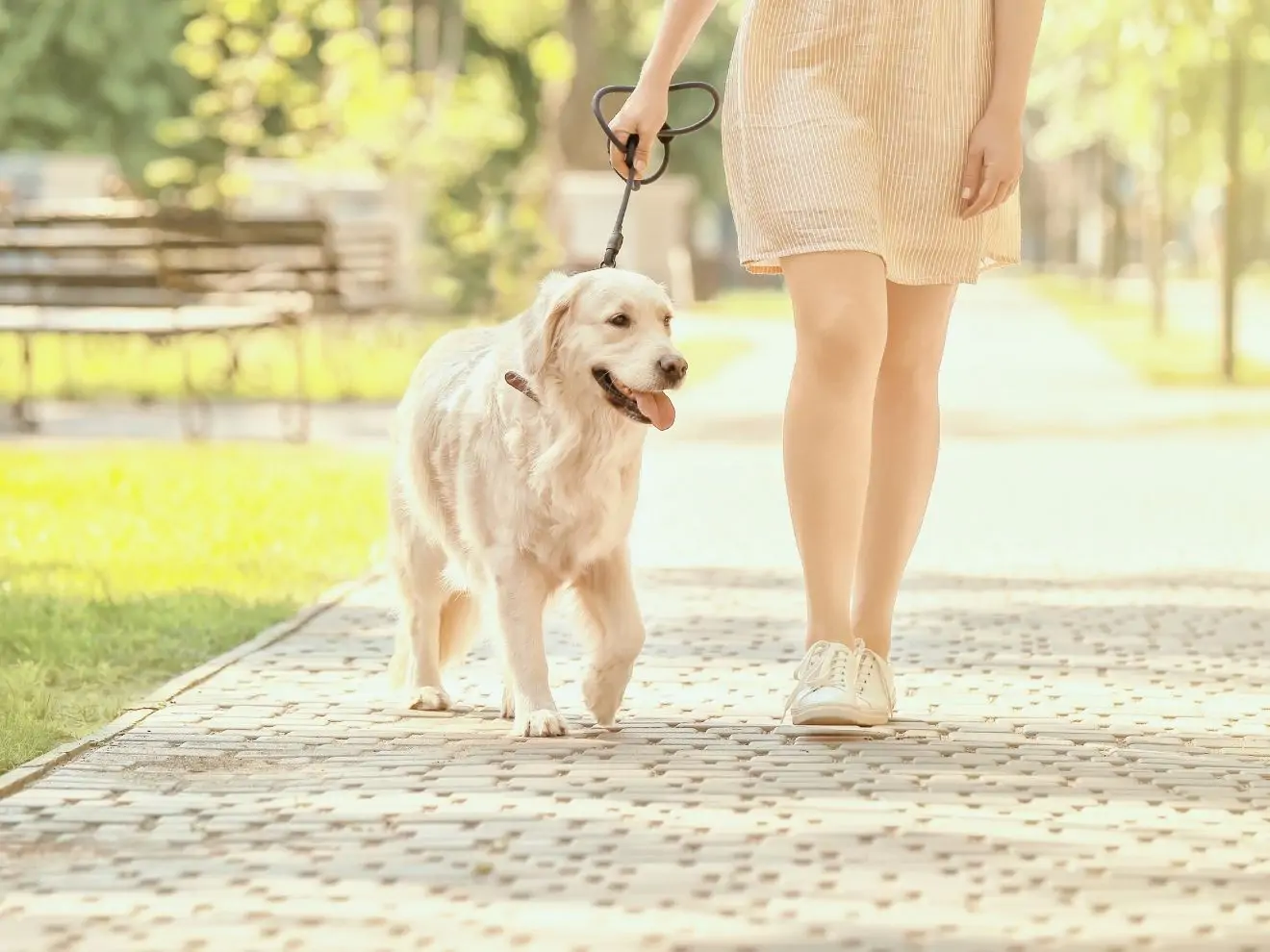 Chůze jako cvičení