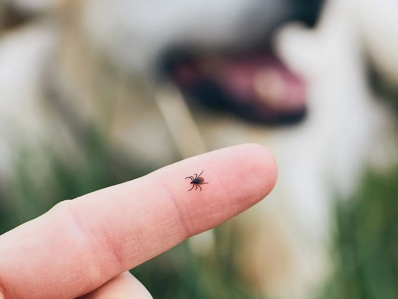 5 zásad pro zdravý fitness trénink