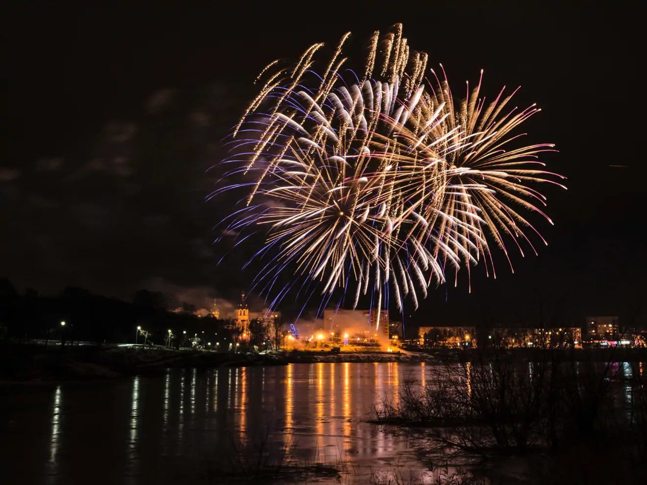 Pes a Silvestr – co dělat, když máte doma strašpytla?